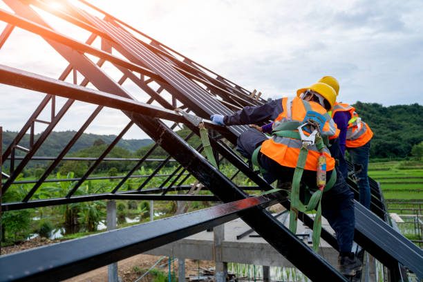 Best Residential Roof Replacement  in Roseville, MI