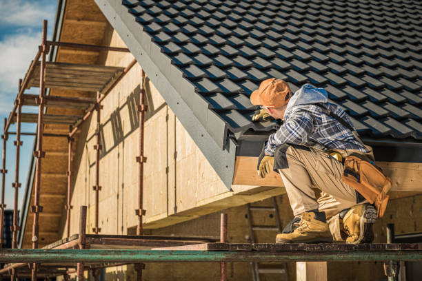 Best Gutter Installation and Roofing  in Roseville, MI