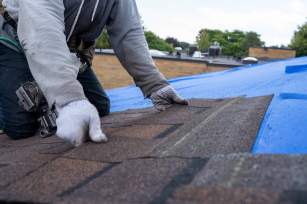 Professional Roofing Contractor in Roseville, MI