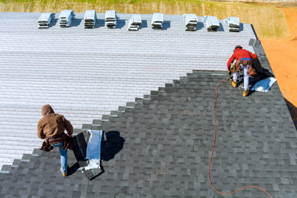Best Affordable Roofing Company  in Roseville, MI