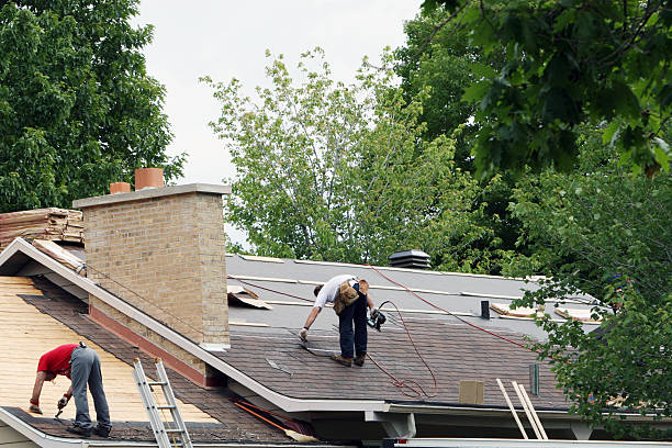 Best New Roof Installation  in Roseville, MI