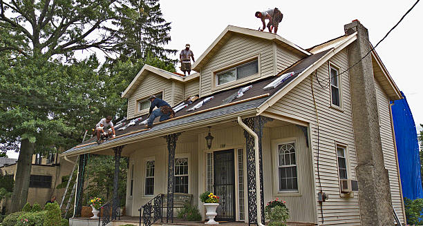 Best Shingle Roofing Installation  in Roseville, MI