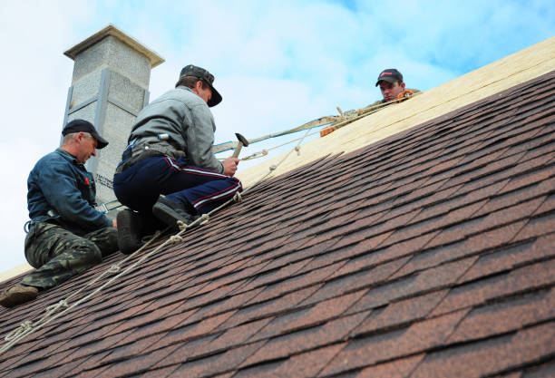 Best Local Roofing Companies  in Roseville, MI