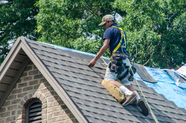 Quick and Trustworthy Emergency Roof Repair Services in Roseville, MI